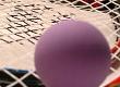 Racketball Versus Racquetball