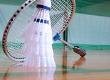 Badminton: Learning to Play Doubles