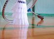 Badminton: Mental Approach to the Game
